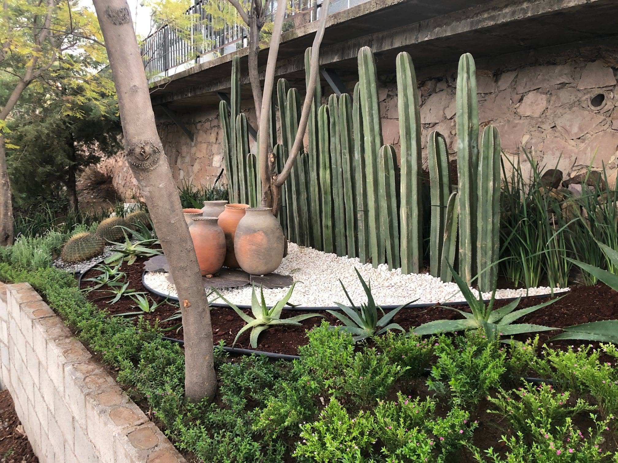 Vista general del proyecto